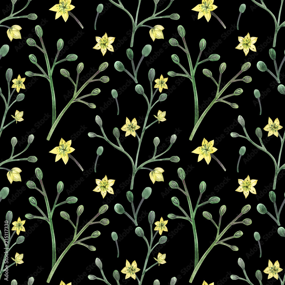 Meadow Plants hand painted watercolor seamless pattern