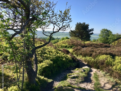 Welcome to Yorkshire