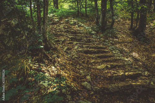 old concrete destroyed stairs in deep autumn forest nature mountain scenery landscape 