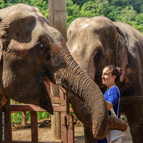Canvas Print Young girl takes care of elephants at a sanctuary in the jungle of Chiang Mai in