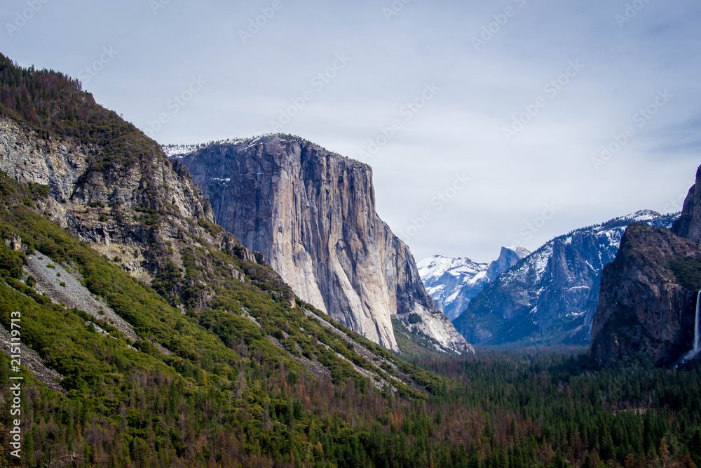 El Capitan by a meadow El Capitan by a meadow