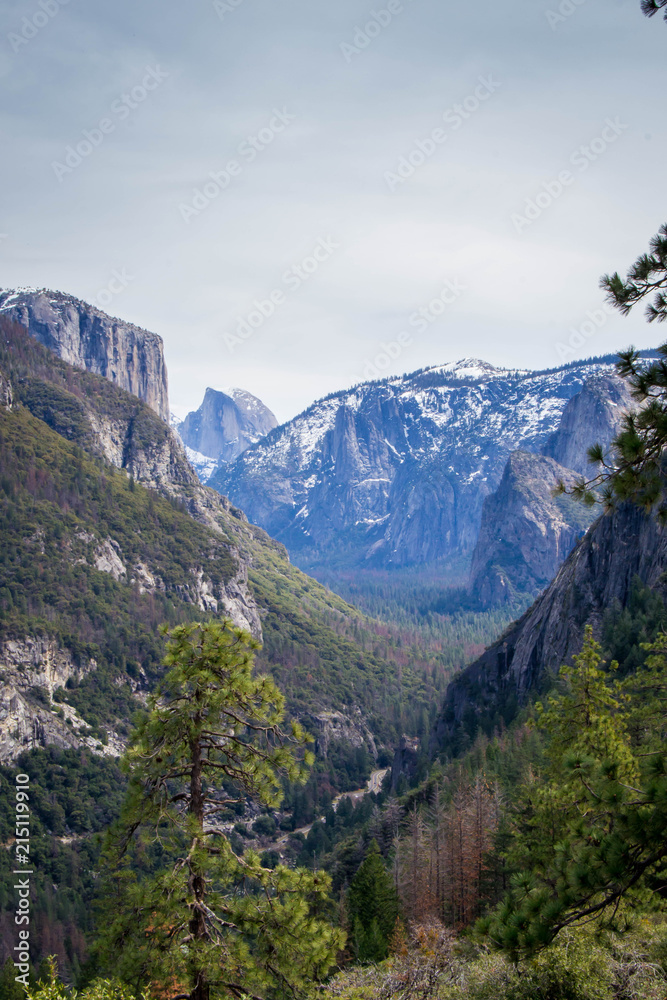 Obraz premium El Capitan by a meadow