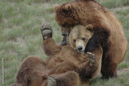 Group Hug