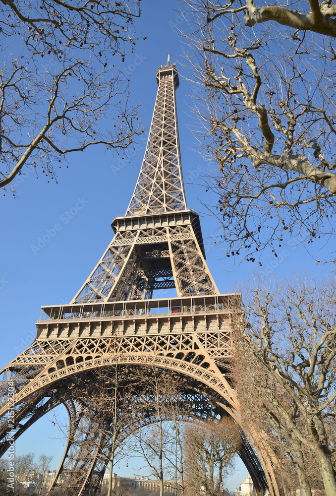 View of the Eiffel Tower behind tall trees