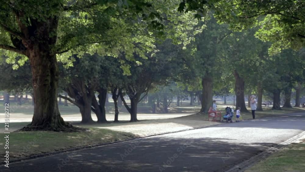 Family enjoying summer afternoon in a park. Family enjoying summer afternoon in a park.