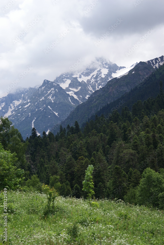 Obraz premium SONY DSC