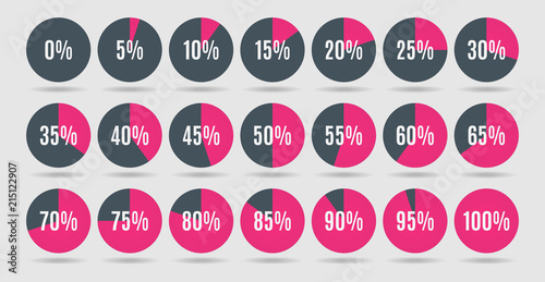 Set of colorful circle percentage diagrams for infographics, 0 5 10 15 20 25 30 35 40 45 50 55 60 65 70 75 80 85 90 95 100 percent. Vector illustration.