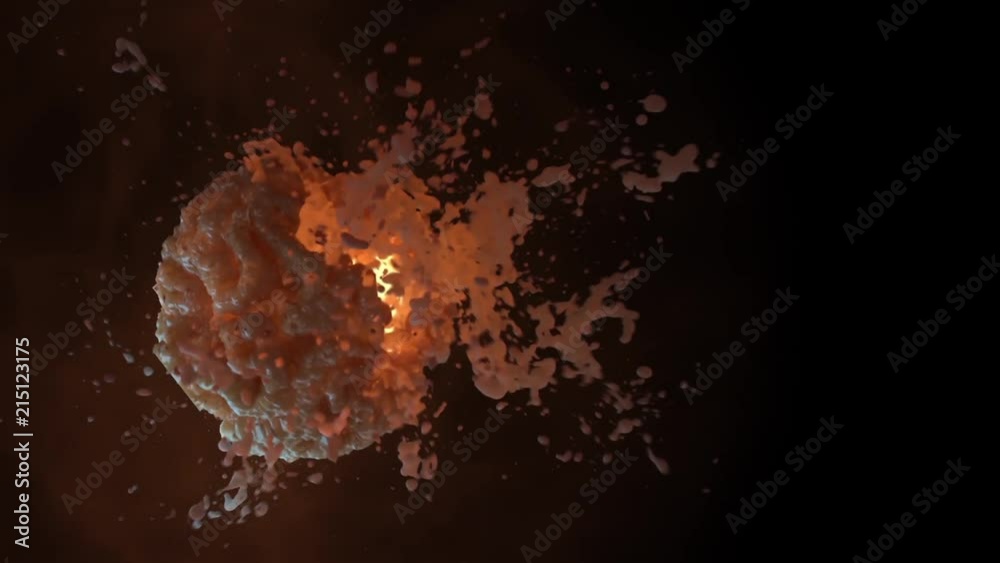 Attack of a T-cell on a virus, killer cell animation