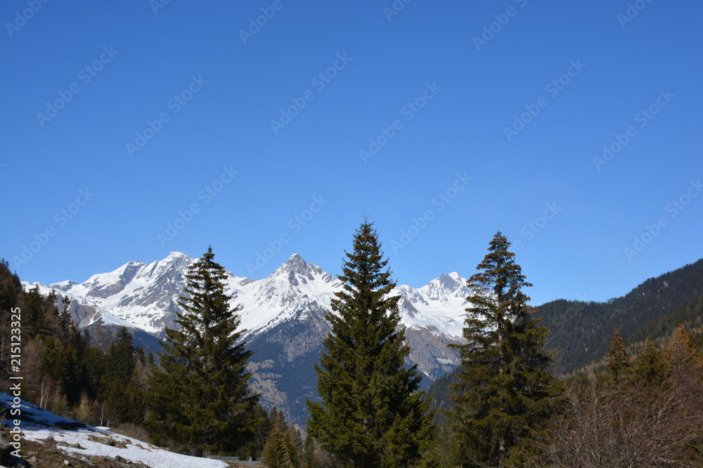 3 arbres, 3 montagnes