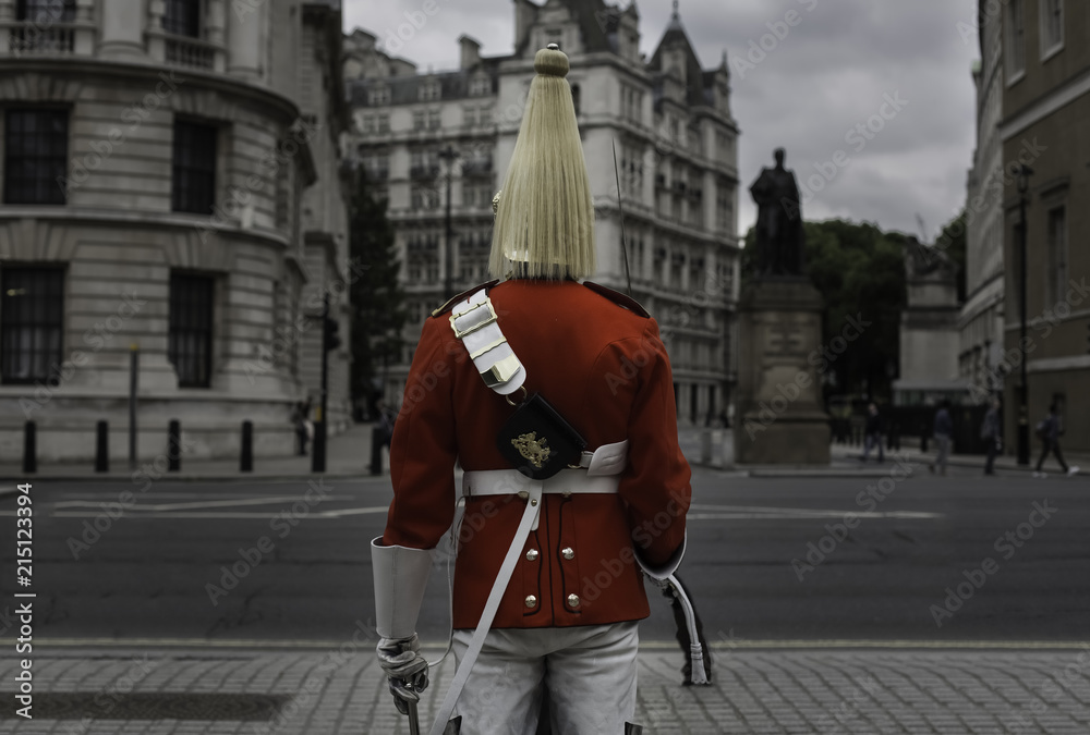 royal guard in some city