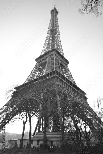 Fototapeta Naklejka Na Ścianę i Meble -  Black and white image of the Eiffel Tower, Paris.