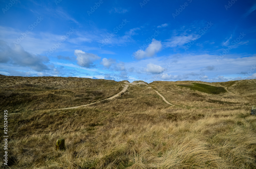 Dunes in Denmark