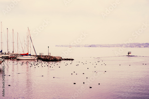 Sailboats Sailing In Sea Against Clear Sky