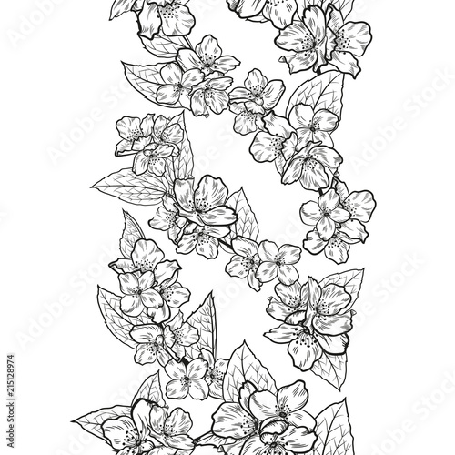 Endless vector border with jasmine flowers for season design.