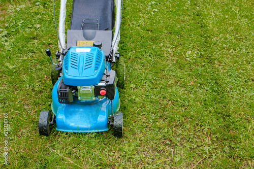cutting the grass in the garden with lawn mower