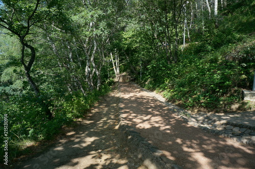 The Kislovodsk Resort park is the biggest city attraction. It was founded in 1823 and was entirely man-made; today its area is 1340 hectares