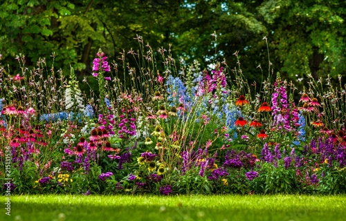 kolorowy ogród kwiatowy
