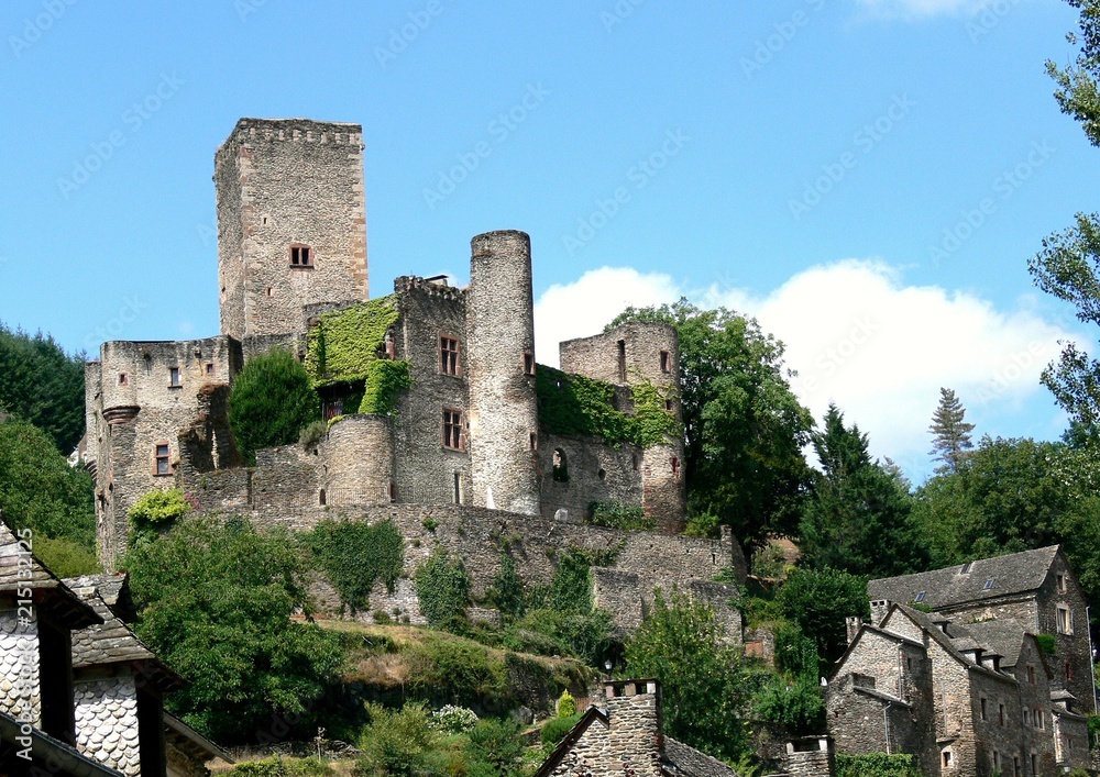 Castle and old stone houses of the medieval village Belcastel, Aveyron, France 
