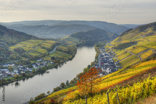 Hans Georg Eiben" Images  Browse 55 Stock Photos, Vectors, and Video |  Adobe Stock