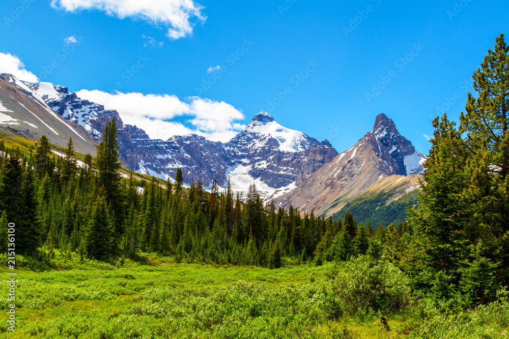 Fototapeta premium Mt Athabasca at Parker Ridge on the Icefields Parkway in Jasper National Park in Alberta, Canada