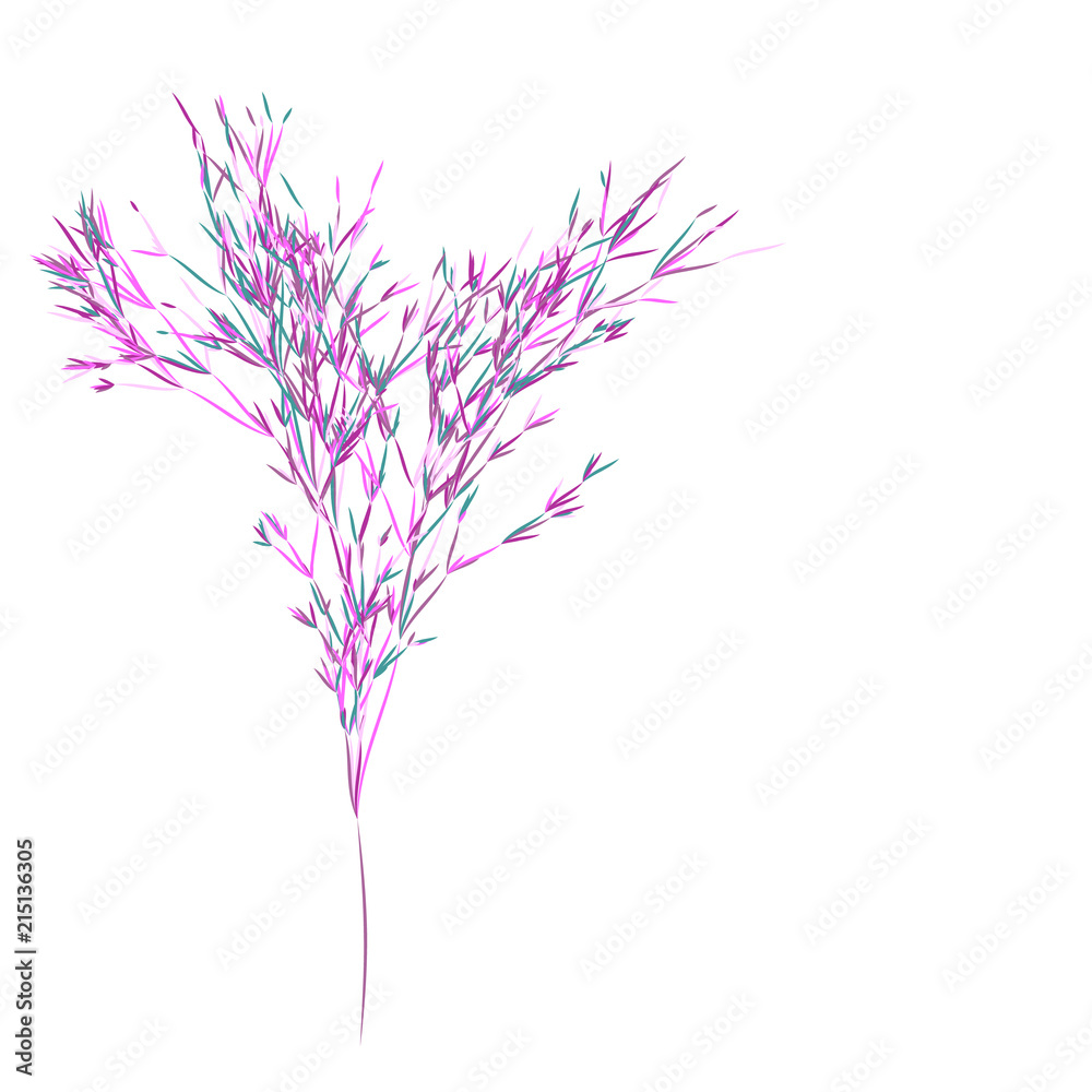 Reed stems ,bamboo leaves, thin narrow leaves.Different shades of pink. Isolated on white background