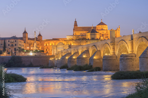 The Roman bridge of Cordoba With Mezquita and River Gaudalquivir, UNESCO World Heritage Site, Cordoba, Andalusia, Spain