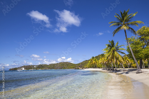 St Vincent and The Grenadines, Mustique, Brittania Bay beach photo