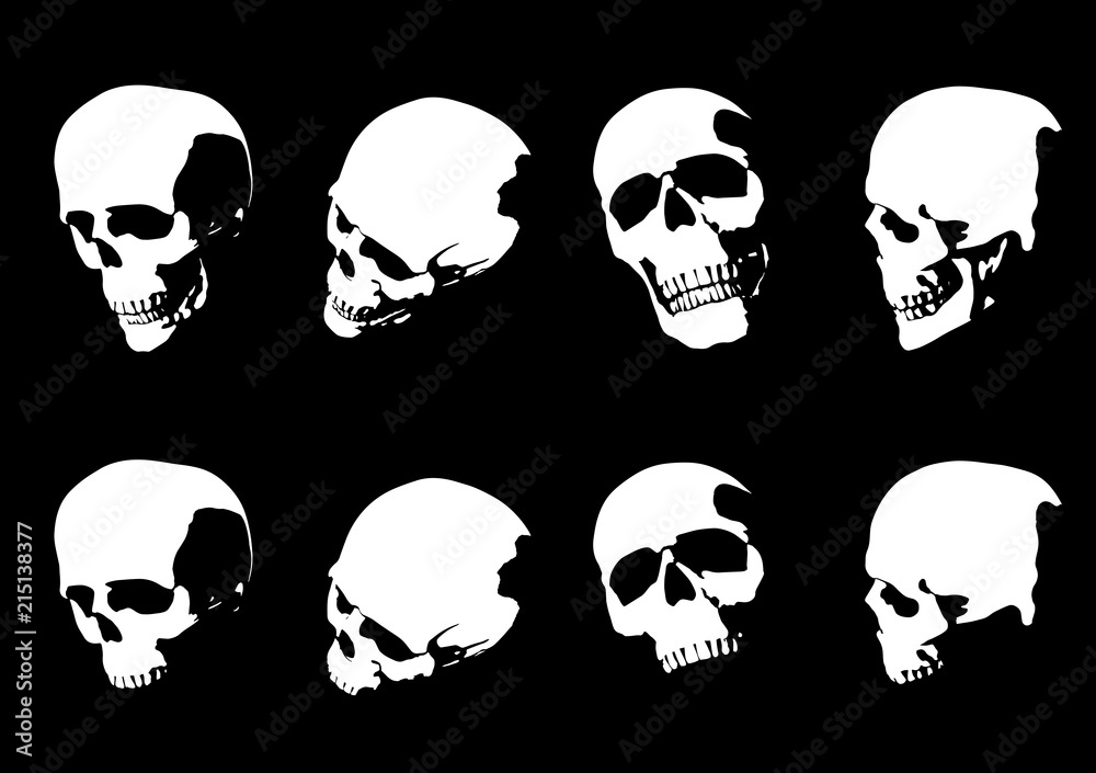 Set of hand drawn skull silhouette isolated on black background. Vector illustration.