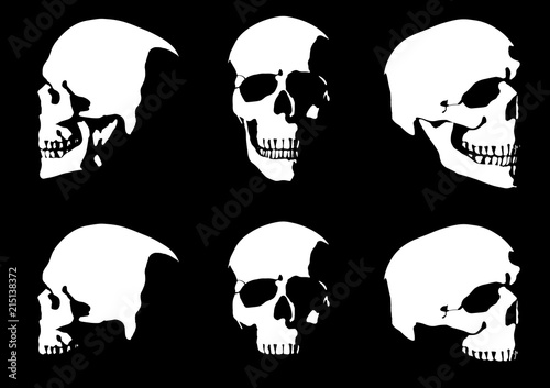 Set of hand drawn skull silhouette isolated on black background. Vector illustration.