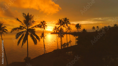 AERIAL  Flying away from palm trees close to the tranquil exotic beach at sunset