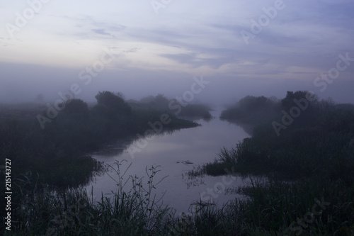 A misty blue sunrise over a marshy landscape 