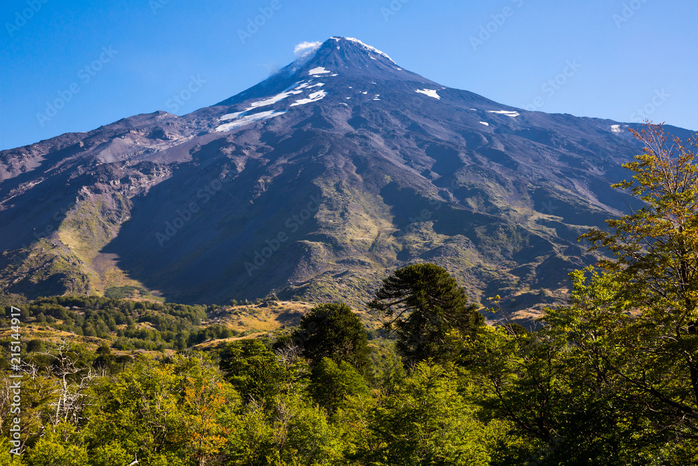 Lanin volcano in the Andes