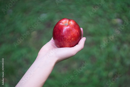 A female hand holding a red ripe apple against a background of green grass on a clear summer day