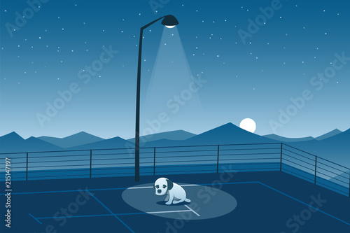 Abandoned Puppy Alone in a Parking Lot Scene