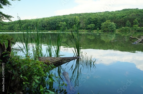 Frances Slocum State Park lake, Kingston Township, PA