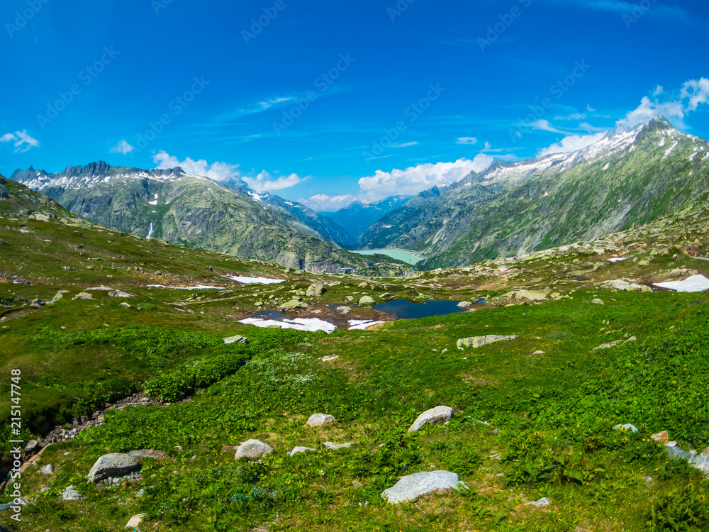 Summer landscape of Switzerland nature at Grimsel pass