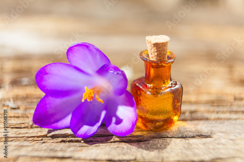 crocus essential oil in  beautiful bottle on table