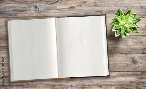 Open book succulent wooden background Minimal flat lay