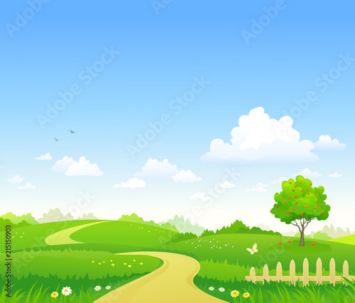 Rural summer path