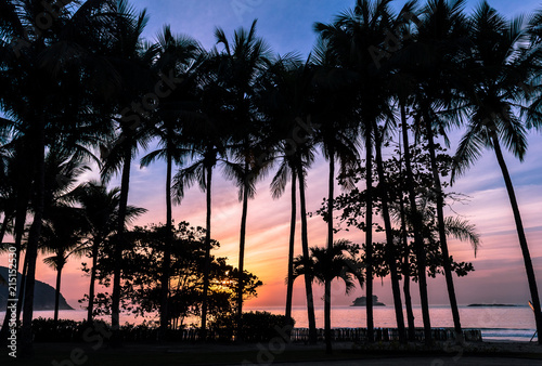 Silhouette of palm trees against the sunrising sky