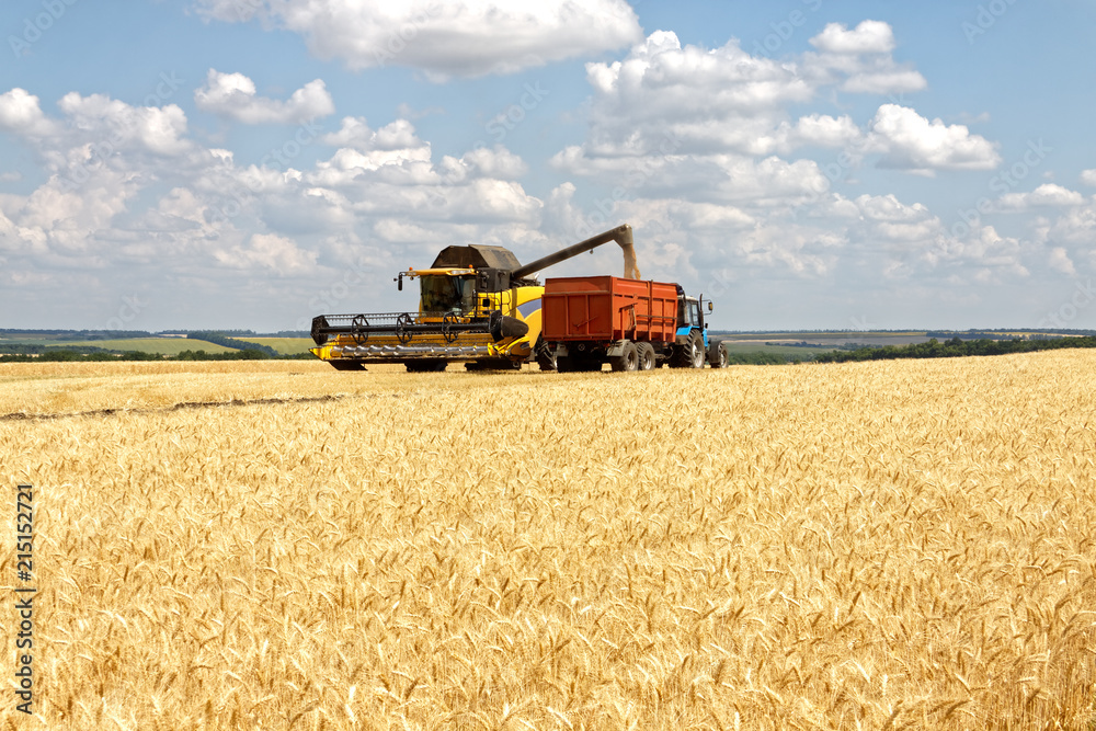 Φωτογραφία Combine harvester load wheat in the truck at the time of harvest in a sunny summ