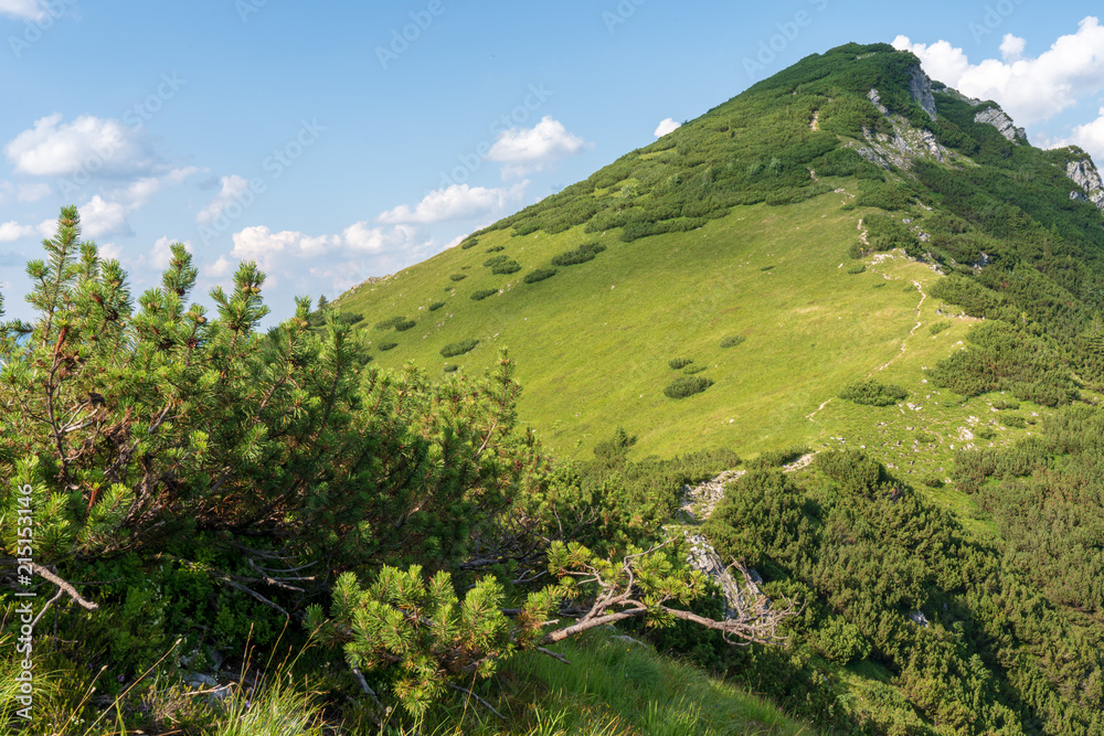 Obraz premium Kaiserbachtal Weg zum Stripsenjochhaus