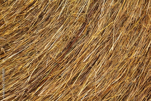 Straw bales on a meadow in summer, rural background, texture of dry grass straw.