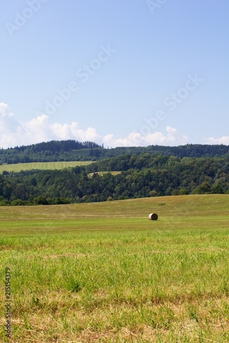 Straw bales on a meadow in summer, rural background, texture of dry grass straw.