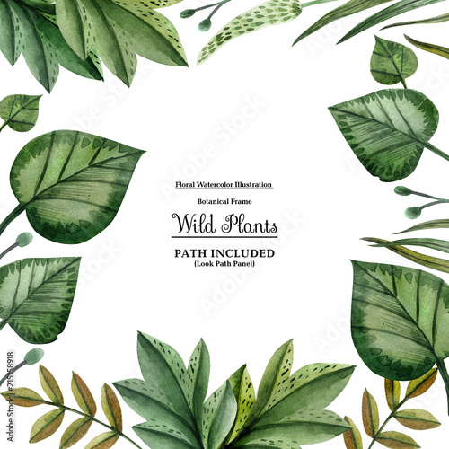 Square frame from wild plants for decoration