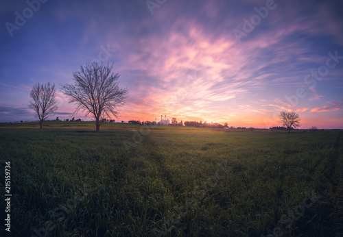 Atardecer en sauce pinto