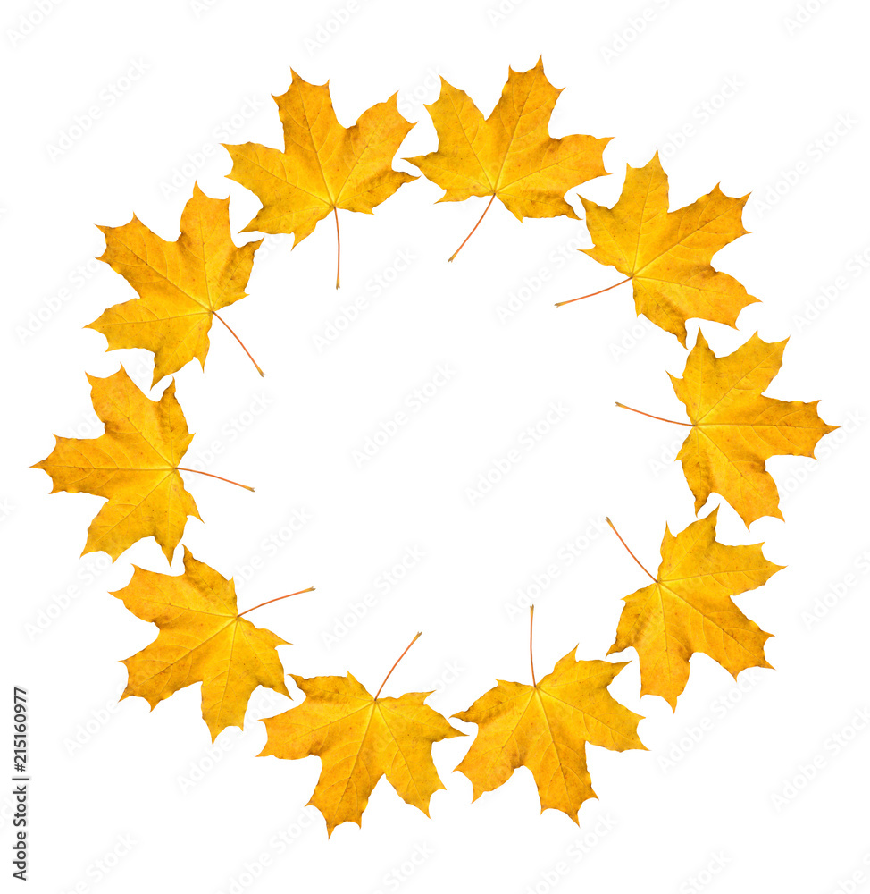 Wreath from dry orange maple leaves. Autumnal round frame on a white background Wreath from dry orange maple leaves. Autumnal round frame on a white background