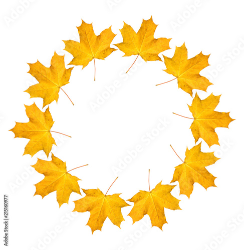 Wreath from dry orange maple leaves. Autumnal round frame on a white background