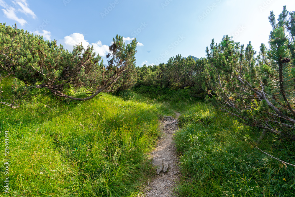 Kaiserbachtal Weg zum Stripsenjochhaus Kaiserbachtal Weg zum Stripsenjochhaus