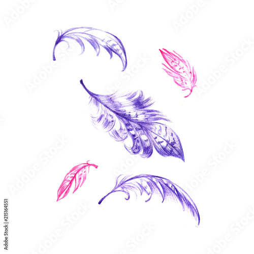 Set of hand drawn pencil delicate colorful feathers. Isolated on white background.